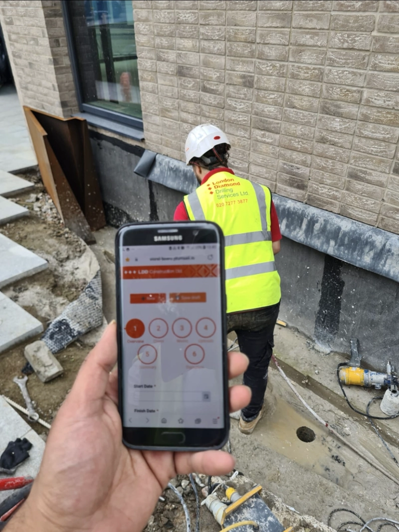 Plumsail Form on site in action