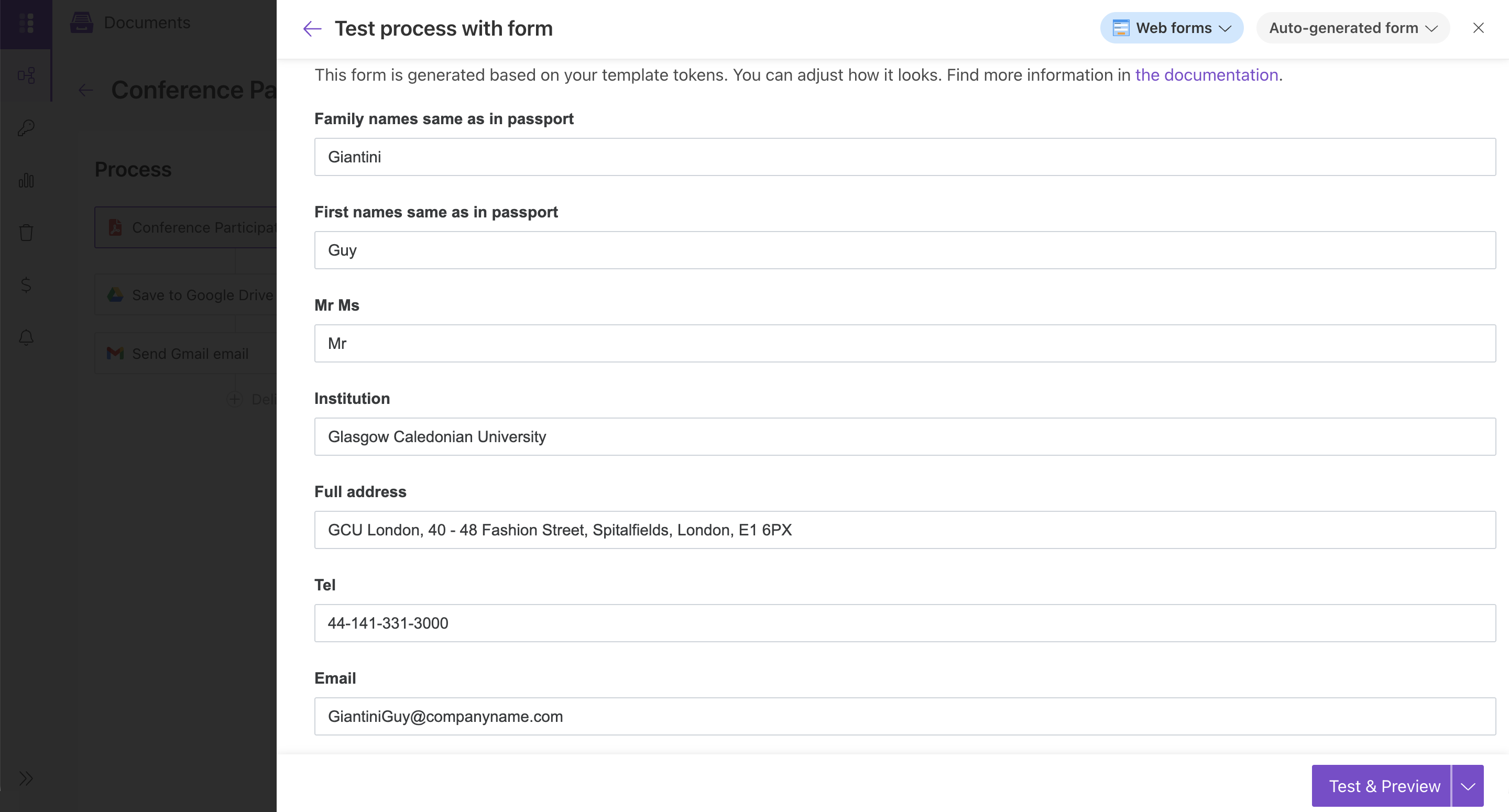 Auto-generated test form filled with sample participant data
