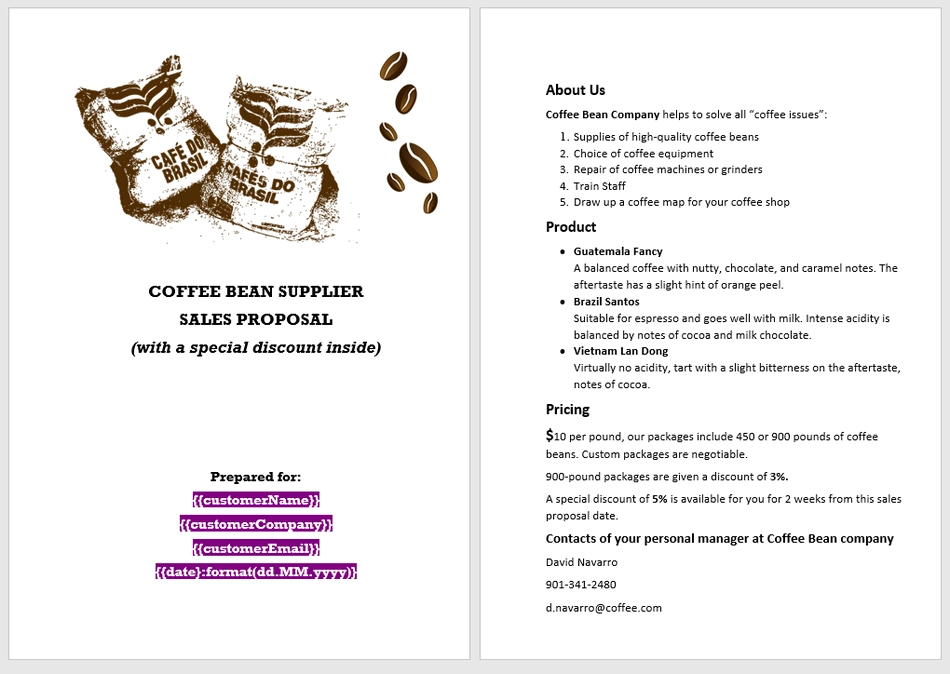 DOCX sales proposal template