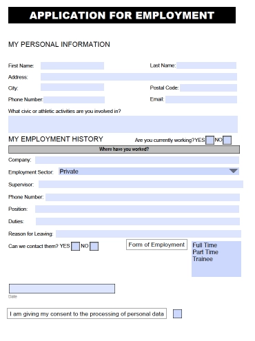 Fillable PDF example