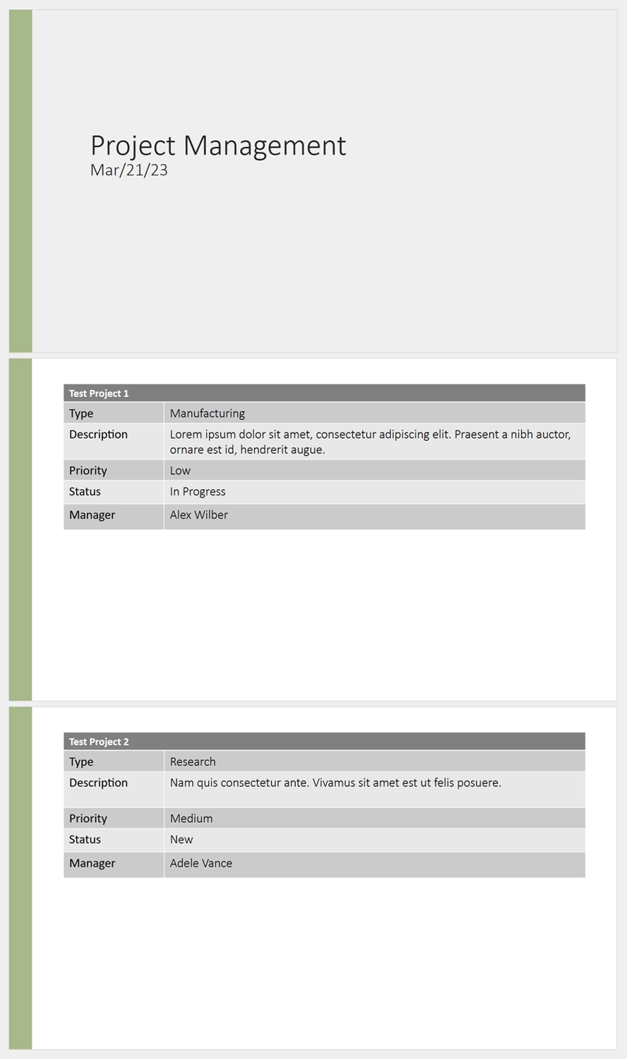 Project Reports Template
