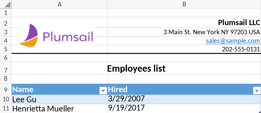 Generated Excel table with conditional row visibility applied