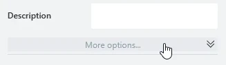 The "More options" bar