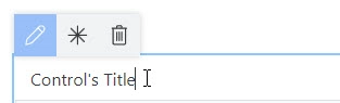 Edit control's title