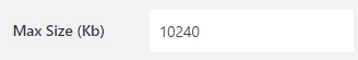File size