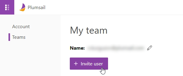 Account settings Team