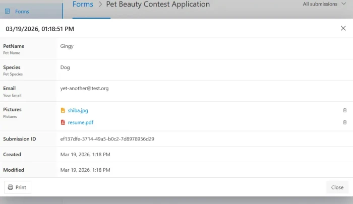 Submission modal view