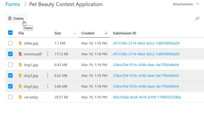 Attachments selected for deletion