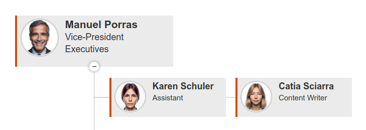 Org Chart after changes