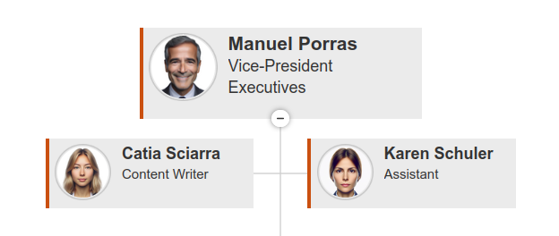 Org Chart before changes