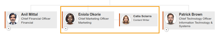 Org Chart before changes