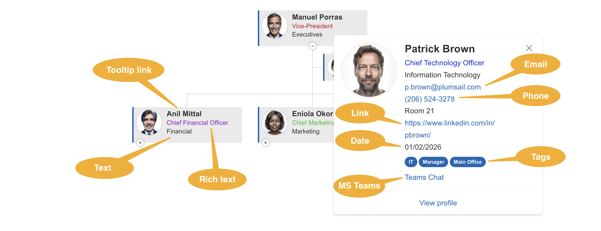 Display as properties