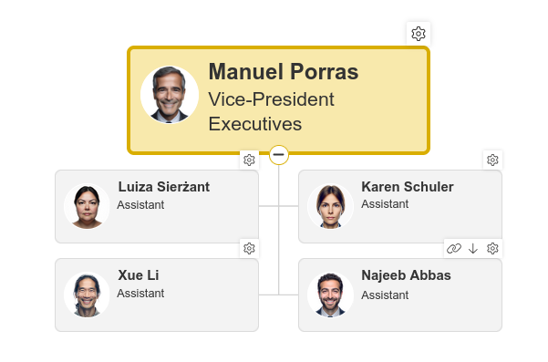 Multiple assistants