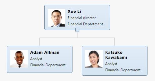Financial director