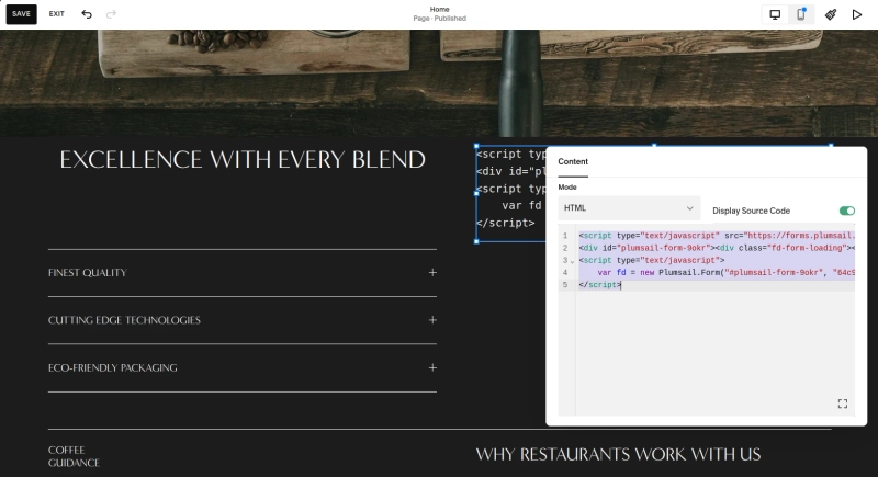 Pasting HTML snippet to a website builder