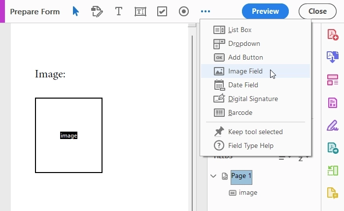 insert picture field in pdf form