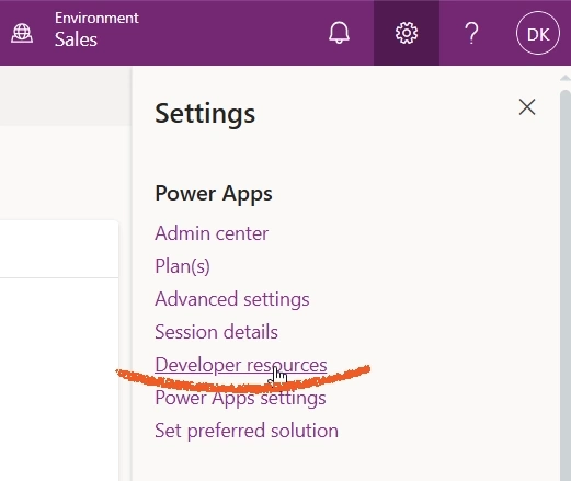 Developer resources of Power Platform environment