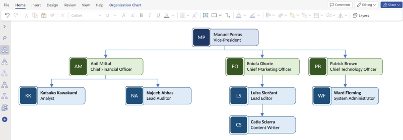 Manually built organizational chart in Microsoft Visio