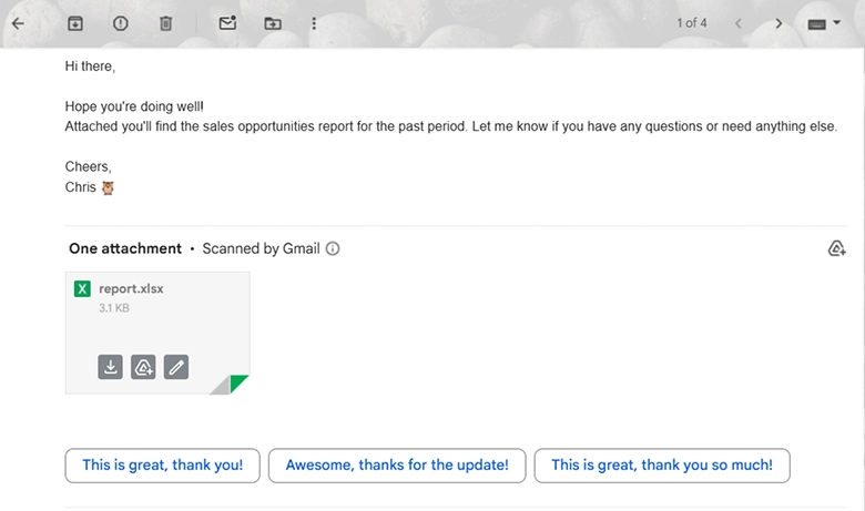 Email preview showing attached Excel report file